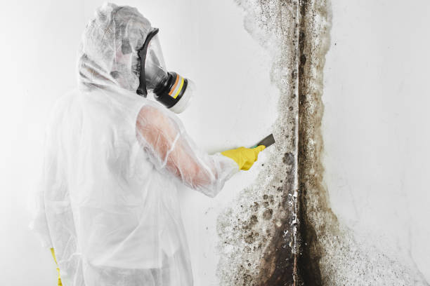 Best Mold Removal Near Me  in Como, WI