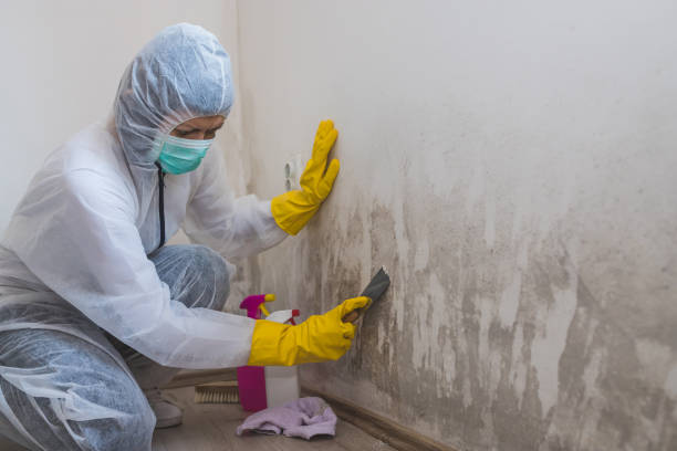 Best Mold Remediation  in Como, WI