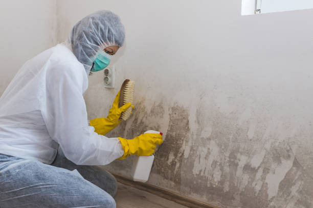 Crawl Space Mold Removal in Como, WI