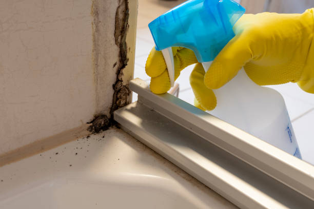 Best Office Mold Removal Services  in Como, WI