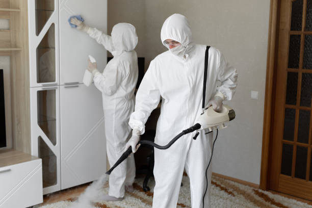 Attic Mold Removal in Como, WI