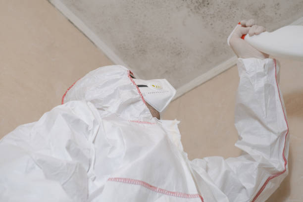 Best Toxic Mold Removal  in Como, WI