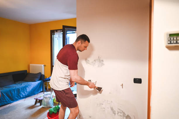 Best Mold Testing  in Como, WI